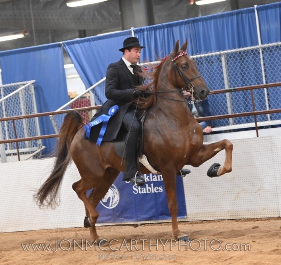STONEHEDGE SENSATIONAL KISS