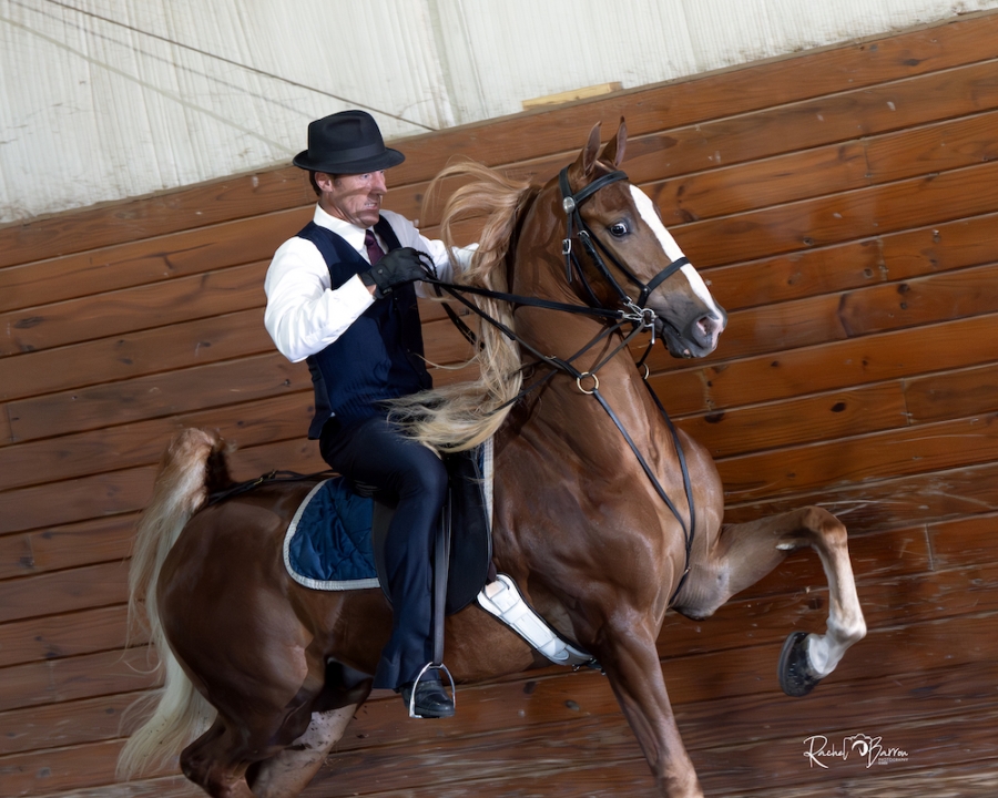 WILDBRIAR&#039;S NUTTIN BUT FUN