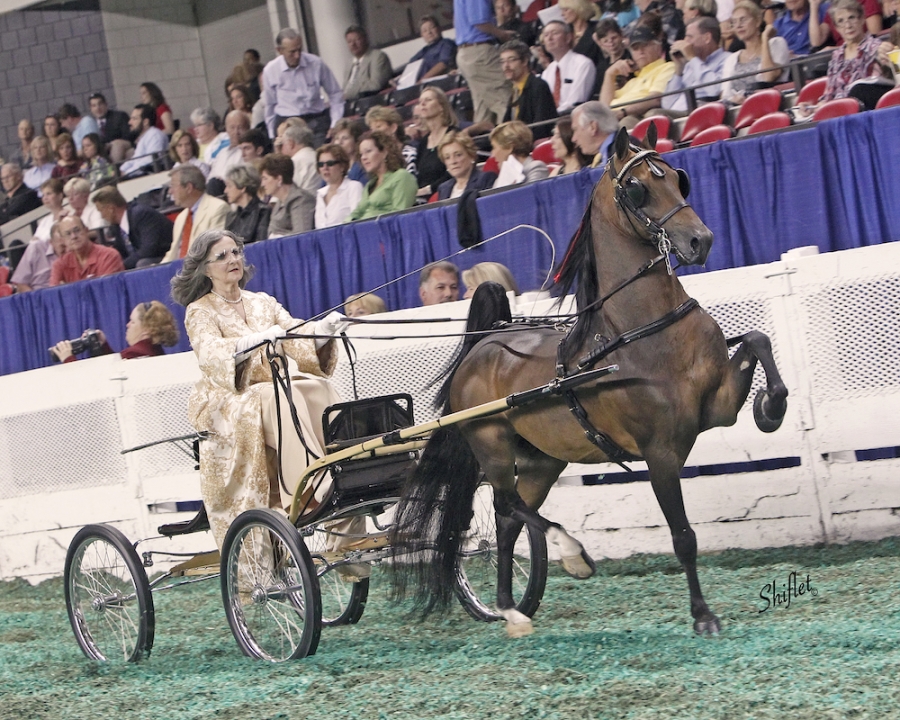 10 DOSES OF SEMEN FROM WGC CH CRYSTAL CREEK&#039;S COMMANDER