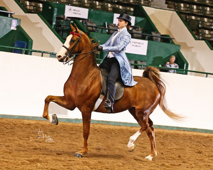 ARROWHEAD&#039;S BACK TO THE FUTURE