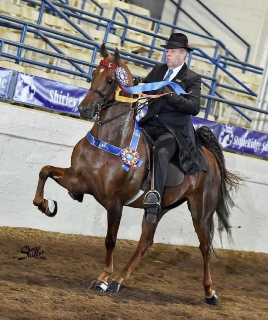 FABULOUS IN BLUE RWF